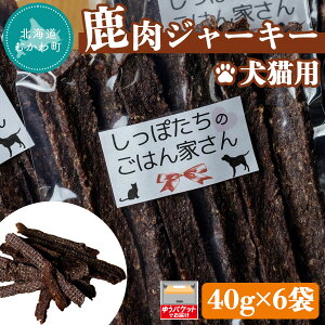 yӂ邳Ɣ[ŁzkCނ풬YW[L[(Lp) 40g×6 ӂ邳Ɣ[ lC  LO  W[L[  L hbOt[h Lbgt[h t[h kC ނ풬