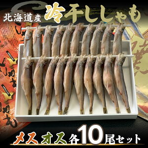 yӂ邳Ɣ[ŁzkCY⊱ XEIXe10Zbg ӂ邳Ɣ[ lC  LO ⊱ VV  Zbg IX X Zbg kC ނ풬  M