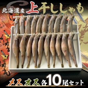 yӂ邳Ɣ[ŁzkCY㊱ XEIXZbg ӂ邳Ɣ[ lC  LO  VV  Zbg Y F kC ނ풬  MKWZ011