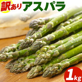 【ふるさと納税】アスパラガス 訳あり 1kg JA門別 北海道 日高町産 グリーンアスパラ 春 野菜 朝採り 鮮度抜群 お取り寄せ グルメ 産地直送 農協 太い 甘い 甘み 旬 送料無料 《2027年4月中旬-5月末頃出荷予定》