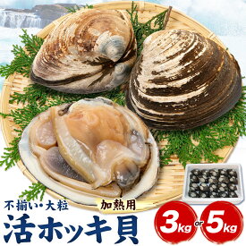 【ふるさと納税】【不揃い・大粒】活ホッキ ( 加熱用 ) 選べる 3kg 5kg 加熱用 丸金金村商店 北海道 日高町産 魚介 海鮮 海の幸 ホッキ貝 貝 産地直送 送料無料 《9月上旬-11月末頃出荷予定》 離島不可