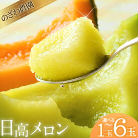 【ふるさと納税】先行予約 日高メロン 選べる 1玉 2玉 4-6玉 約8-9kg のざわ農園 7月出荷 北海道 日高町産 赤肉メロン 青肉メロン 旬 果物 フルーツ めろん デザート 産地直送 お取り寄せ グルメ 贈り物 ギフト 贈答用 送料無料 《2027年7月上旬-8月中旬頃出荷予定》
