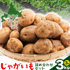 【ふるさと納税】 じゃがいも詰め合わせセット 3kg 10種のうち3種をお届け メークイン 男爵 とうや 十勝こがね キタアカリ アンデスレッド インカのめざめ インカのひとみ きたかむい のざわ農園 《9月上旬-12月末頃出荷予定》 北海道 日高町 いも 芋 じゃがいも 野菜