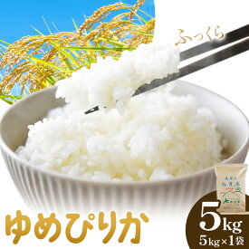 【ふるさと納税】令和7年産 ゆめぴりか 選べる 5kg 10kg 田中農園 北海道 日高町産 米 お米 白米 精米 特A 低アミロース米 甘み 粘り 産地直送 農家直送 生活応援 家計応援 お取り寄せ グルメ ギフト 送料無料 《30日以内に出荷予定(土日祝除く)》