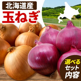 【ふるさと納税】野菜 玉ねぎ 紫玉ねぎ 選べる10kg 20kg B&T TRADING株式会社《30日以内に出荷予定(土日祝除く)》北海道 日高町 玉ねぎ 紫玉ねぎ 赤玉ねぎ 北海道産 国産 野菜 大容量 家庭用 常備野菜 サラダ カレー スープ 煮物 炒め物 甘み 新鮮 10kg 20kg 選べる