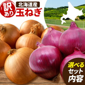 【ふるさと納税】訳あり 野菜 玉ねぎ 紫玉ねぎ 選べる10kg 20kg B&T TRADING株式会社《30日以内に出荷予定(土日祝除く)》北海道 日高町 玉ねぎ 紫玉ねぎ 赤玉ねぎ 北海道産 国産 野菜 大容量 家庭用 常備野菜 サラダ カレー スープ 煮物 炒め物 甘み 新鮮 10kg 20kg 選べる