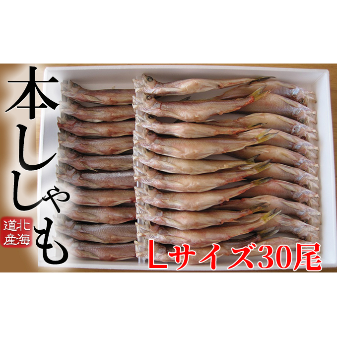 北海道日高町 ふるさと納税 北海道産ししゃもL30尾セット 超定番 魚貝類 魚介類 ししゃも 11月のおすすめ 干物 年間定番