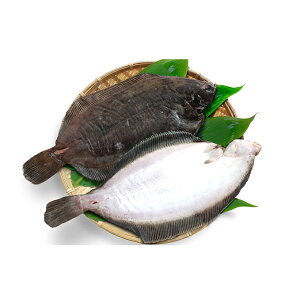 カレイ 魚介類の通販 価格比較 価格 Com