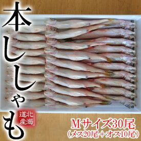 【ふるさと納税】北海道産ししゃもM30尾（メス20尾＋オス10尾）　【北海道産・ししゃも・魚介類・魚貝類・干物】