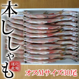 【ふるさと納税】北海道産ししゃも【オス】M30尾　【北海道産・ししゃも・魚介類・魚貝類・干物】