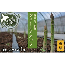 【ふるさと納税】2L【秀品】約1kgグリーンアスパラ＜北海道日高門別産＞　【野菜】　お届け：2024年4月上旬～5月末まで