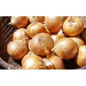 yӂ邳Ɣ[ŁzkC Y ʂ˂ 18kg Y kCY  Yn 񂹁@؁Eʂ˂E܂˂E^}lM@͂F2025N11`2026N331