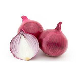 yӂ邳Ɣ[ŁzkC Y ʂ˂ 18kg Y kCY  Yn 񂹁@؁Eʂ˂E܂˂E^}lME20kg@͂F2025N11`2026N331