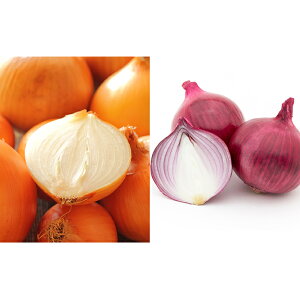 yӂ邳Ɣ[ŁzkC@Y@ʂ˂2 ʂ˂13kg ʂ˂5kg Y kCY  Yn 񂹁@؁Eʂ˂E܂˂E^}lME20kg@͂F2025N11`2026N331