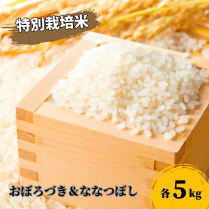 yӂ邳Ɣ[ŁzkC yc_zR7NY ڂÂ  ȂȂڂ e5kg Hה Zbg ʍ͔|ā@ā@͂F2025N10珇