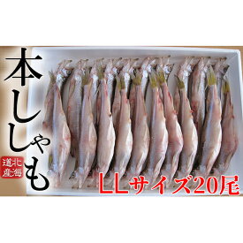 【ふるさと納税】北海道産ししゃも LL 20尾セット　【魚貝類・ししゃも・魚介類・干物・11月のおすすめ】