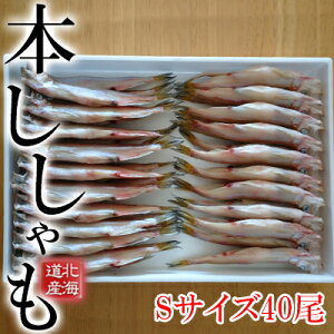 yӂ邳Ɣ[ŁzkCYS40@kCYEEށELށE