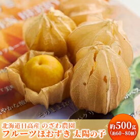 【ふるさと納税】【2026年発送 先行予約】【 のざわ農園 】 フルーツ ほおずき 「 太陽の子 」約500g 北海道 日高産 希少 ホオズキ　お届け：2026年9月下旬～11月上旬まで