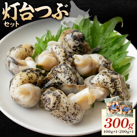 【ふるさと納税】貝類 灯台つぶ 300g 100g 200g 各1 北海道産 コリコリ食感 石崎水産《30日以内に出荷予定(土日祝除く)》北海道 日高町 つぶ貝 ツブ貝 海鮮 魚介 貝 刺身 酒肴 晩酌 煮物 炊込 冷凍 小分け 道産 海産 珍味 惣菜 おかず 贈答 貝類 灯台