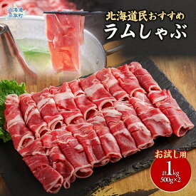 【ふるさと納税】【お試し用】北海道民おすすめ『ラムしゃぶ』500g×2パック1kg【 ふるさと納税 人気 おすすめ ランキング 羊 ラム 肉 ラムしゃぶ しゃぶしゃぶ ラム肉 羊肉 おいしい お試し 北海道 平取町 送料無料 】BRTI014
