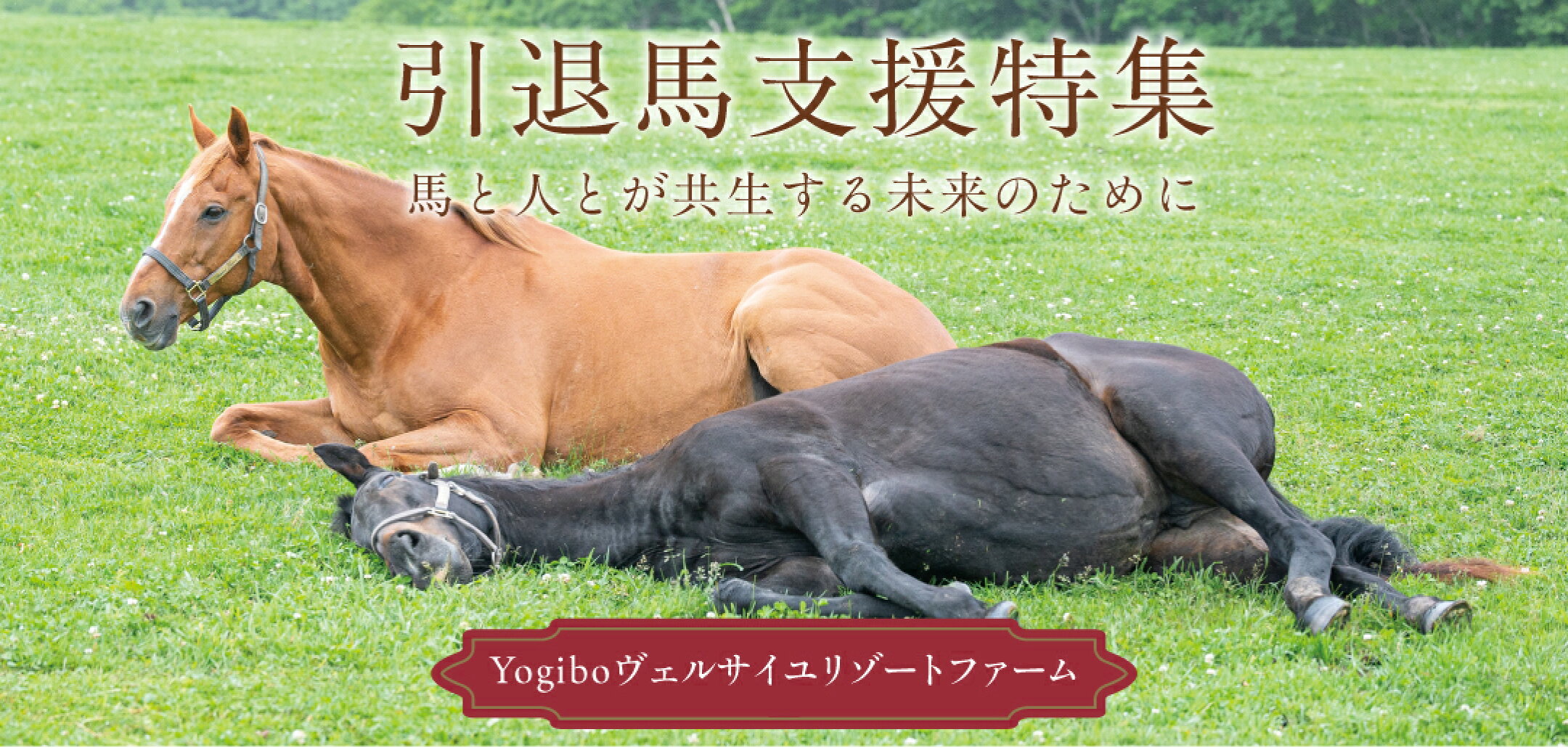 引退馬支援特集