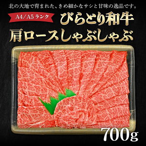 yӂ邳Ɣ[ŁzyA4/A5NјazтƂa[XԂ700g ӂ邳Ɣ[ lC  LO тƂa јa a  Ԃ kC 撬 
