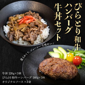 【ふるさと納税】びらとり和牛ハンバーグ180g3枚・牛丼120g3個セット　オリジナルソース付 ふるさと納税 人気 おすすめ ランキング 和牛 肉 ハンバーグ 牛丼 北海道 平取町 送料無料 BRTB032