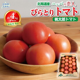 【ふるさと納税】【先行予約/2026年6月以降発送】【家庭用】ニシパの恋人「びらとりトマト」秀品 1箱 約4kg（20～24個 満詰め） 【ふるさと納税 人気 おすすめ ランキング トマト とまと 桃太郎 びらとりトマト 秀品 4kg 野菜 ギフト 北海道 平取町 送料無料】 BRTO001
