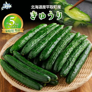 �y�ӂ邳�Ɣ[�Łz�y��s�\��/8���ȍ~�����z�y�ƒ�p�z�y�k�C�����撬�Y�z�G�i �L���E��1���M�T�C�Y5kg�y�ӂ邳�Ɣ[�� �l�C �������� �����L���O ���イ�� �L���E�� �ӉZ �G�i �T���_ �Е� ��