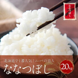 【ふるさと納税】【令和7年産新米】北海道で1番人気！「ニシパの恋人」ななつぼし20kg（10kg×2） 【 ふるさと納税 人気 おすすめ ランキング ニシパの恋人 ななつぼし お米 米 ご飯 白米 おいしい 北海道 平取町 送料無料 】 BRTH035