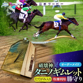 【ふるさと納税】【御守り】破壊神タニノギムレットたてがみ入り牧柵利用勝守り【 ふるさと納税 人気 おすすめ ランキング 馬 競馬 競走馬 引退馬 タニノギムレット お守り 御守り おまもり 日高 北海道 平取町 送料無料 】 BRTV100