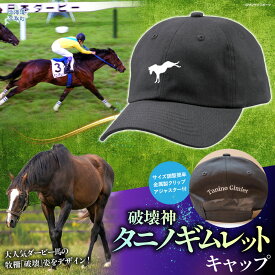 【ふるさと納税】【破壊神タニノギムレット】キャップ【 ふるさと納税 人気 おすすめ ランキング 馬 競馬 競走馬 引退馬 タニノギムレット 帽子 キャップ ぼうし 日高 北海道 平取町 送料無料 】 BRTV106