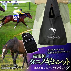 【ふるさと納税】【破壊神タニノギムレット】丸めて使えるエコバッグ【 ふるさと納税 人気 おすすめ ランキング 馬 競馬 競走馬 引退馬 タニノギムレット エコバッグ 鞄 かばん バッグ 折り畳みエコバッグ 買い物 日高 北海道 平取町 送料無料 】 BRTV108