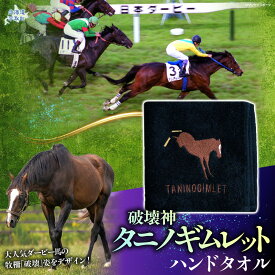 【ふるさと納税】【破壊神タニノギムレット】ハンドタオル【 ふるさと納税 人気 おすすめ ランキング 馬 競馬 競走馬 引退馬 タニノギムレット タオル ハンドタオル 綿タオル 日高 北海道 平取町 送料無料 】 BRTV110