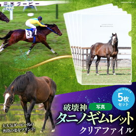 【ふるさと納税】【破壊神タニノギムレット】クリアファイル5枚入り【 ふるさと納税 人気 おすすめ ランキング 馬 競馬 競走馬 引退馬 タニノギムレット ファイル クリアファイル 事務用品 日用品 日高 北海道 平取町 送料無料 】 BRTV112