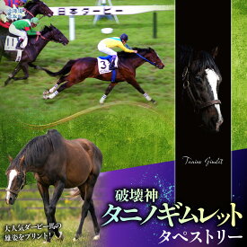 【ふるさと納税】【破壊神タニノギムレット】タペストリー 【ふるさと納税 人気 おすすめ ランキング 馬 競馬 競走馬 引退馬 タニノギムレット タペストリー 飾り物 生活 日用品 日高 北海道 平取町 送料無料】 BRTV116