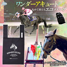 【ふるさと納税】【ワンダーアキュート】丸めて使えるエコバッグ 【ふるさと納税 人気 おすすめ ランキング 馬 競馬 競走馬 引退馬 ワンダーアキュート 鞄 バッグ エコバッグ 買い物 生活 日高 北海道 平取町 送料無料】 BRTV204
