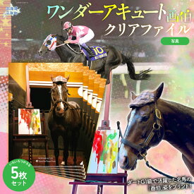 【ふるさと納税】【ワンダーアキュート画伯】クリアファイル5枚入り 【ふるさと納税 人気 おすすめ ランキング 馬 競馬 競走馬 引退馬 ワンダーアキュート クリアファイル ファイル 事務用品 文房具 生活 日高 北海道 平取町 送料無料】 BRTV209
