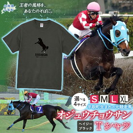 【ふるさと納税】【オジュウチョウサン】Tシャツ 選べる4サイズ【S・М・L・XL】ヘイジーブラック【 ふるさと納税 人気 おすすめ ランキング 馬 競馬 競走馬 引退馬 オジュウチョウサン 北海道 平取町 送料無料 】 BRTV004