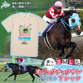 【ふるさと納税】【オジュウチョウサン】イラストTシャツ【 ふるさと納税 人気 おすすめ ランキング 馬 競馬 競走馬 オジュウチョウサン 北海道 平取町 送料無料】 BRTV005