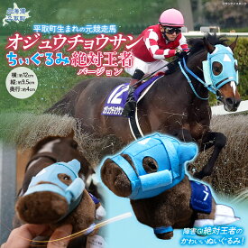 【ふるさと納税】【オジュウチョウサン】ちぃぐるみ　絶対王者バージョン【 ふるさと納税 人気 おすすめ ランキング 馬 競馬 競走馬 オジュウチョウサン 北海道 平取町 送料無料】 BRTV006