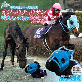 【ふるさと納税】【オジュウチョウサン】特大ぬいぐるみ　絶対王者バージョン【 ふるさと納税 人気 おすすめ ランキング 馬 競馬 競走馬 オジュウチョウサン 北海道 平取町 送料無料】 BRTV007