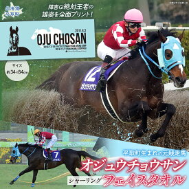 【ふるさと納税】【オジュウチョウサン】シャーリングフェイスタオル【 ふるさと納税 人気 おすすめ ランキング 馬 競馬 競走馬 引退馬 オジュウチョウサン 北海道 平取町 送料無料】 BRTV010