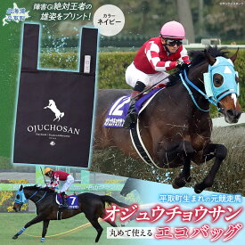 【ふるさと納税】【オジュウチョウサン】丸めて使えるエコバッグ【 ふるさと納税 人気 おすすめ ランキング 馬 競馬 競走馬 オジュウチョウサン 北海道 平取町 送料無料】 BRTV012