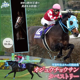 【ふるさと納税】【オジュウチョウサン】タペストリー【ふるさと納税 人気 おすすめ ランキング 馬 競馬 競走馬 オジュウチョウサン 北海道 平取町 送料無料】 BRTV016