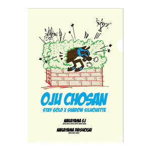 �y�ӂ邳�Ɣ[�Łz�y�I�W���E�`���E�T���z�N���A�t�@�C�� �C���X�g5������y �ӂ邳�Ɣ[�� �l�C �������� �����L���O �n ���n �����n �I�W���E�`���E�T�� �k�C�� ���撬 ���������z BRTV017