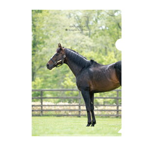 �y�ӂ邳�Ɣ[�Łz�y�I�W���E�`���E�T���z�N���A�t�@�C���i�ʐ^�j5������y �ӂ邳�Ɣ[�� �l�C �������� �����L���O �n ���n �����n �I�W���E�`���E�T�� �k�C�� ���撬 ���������z BRTV019