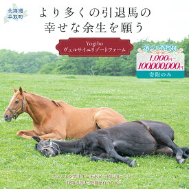 【ふるさと納税】【選べる寄附額 返礼品無し】より多くの引退馬の幸せな余生を願う　Yogiboヴェルサイユリゾートファーム 【 ふるさと納税 人気 おすすめ ランキング 馬 競馬 競走馬 引退馬 高齢馬 養老牧場 北海道 平取町 送料無料 】 BRTV024