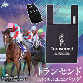 【ふるさと納税】【トランセンド】丸めて使えるエコバッグ 【ふるさと納税 人気 おすすめ ランキング 馬 競馬 競走馬 引退馬 トランセンド バッグ エコバッグ 買い物 生活 日用品 日高 北海道 平取町 送料無料】 BRTV153