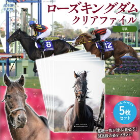 【ふるさと納税】【ローズキングダム】クリアファイル 写真5枚入り【ふるさと納税 人気 おすすめ ランキング 馬 競馬 競走馬 引退馬 ローズキングダム クリアファイル ファイル 事務用品 文房具 日高 北海道 平取町 送料無料】 BRTV255